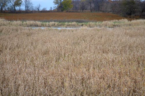 Property photo 18 - 80 Acres & Home - Property Offered in 4 Tracts from 2.3 to 30.0 Acres